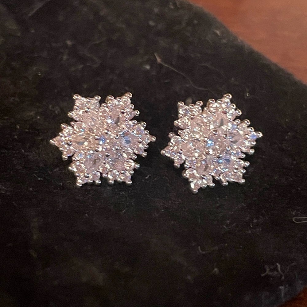 Anne Klein Earrings 
✨Dazzling and enchanting